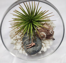Load image into Gallery viewer, Air plant terrarium with male nude
