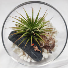 Load image into Gallery viewer, Air plant terrarium with female nude
