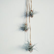 Load image into Gallery viewer, Geometric faux copper hanging air plant display
