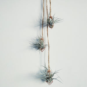 Geometric faux copper hanging air plant display