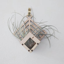 Load image into Gallery viewer, Laser cut, wall mounted air plant holder with plant
