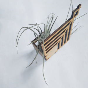 Laser cut, wall mounted air plant holder with plant
