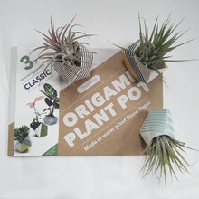 Load image into Gallery viewer, Origami plant pot kit with set of air plants
