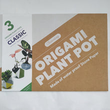Load image into Gallery viewer, Origami plant pot kit with set of air plants
