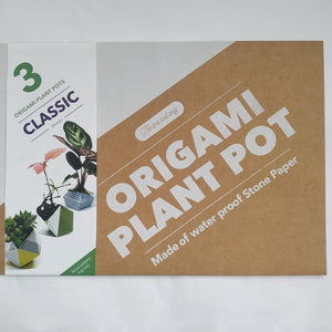 Origami plant pot kit with set of air plants