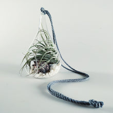 Load image into Gallery viewer, Teardrop Terrarium Kit with air plant food

