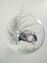Load image into Gallery viewer, Wall mounted semi-circle glass terrarium
