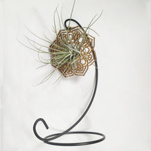 Load image into Gallery viewer, Laser cut hanging air plant mandala with stand
