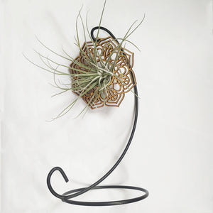 Laser cut hanging air plant mandala with stand
