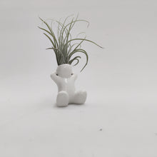 Load image into Gallery viewer, Air plant people
