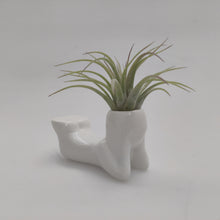 Load image into Gallery viewer, Air plant people
