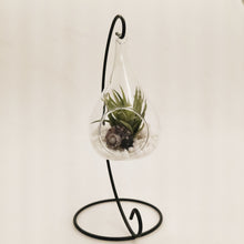 Load image into Gallery viewer, Teardrop hanging terrarium with stand
