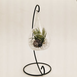 Teardrop hanging terrarium with stand