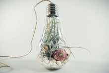 Load image into Gallery viewer, Air plant lightbulb hanging terrarium
